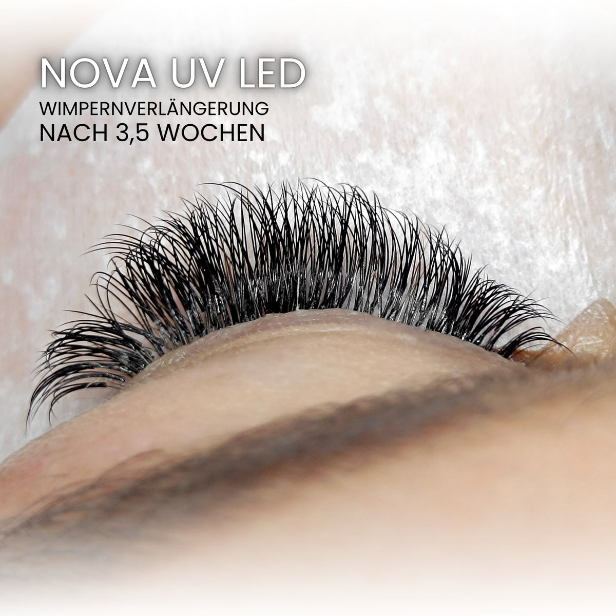 Wimpernverlängerung nach 3,5 Wochen mit NOVA UV LED Wimpernkleber